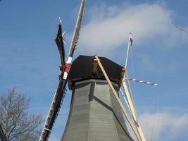 Flowers in Holland photo