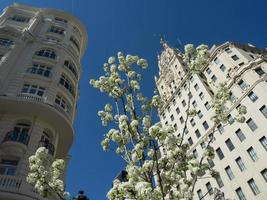 la ciudad de madrid en españa foto