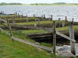 maasholm en el río schlei en alemania foto