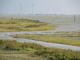 la isla de spiekeroog en alemania foto