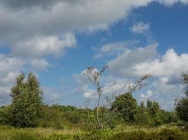 the island of Spiekeroog in germany photo