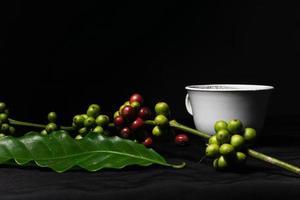 Photo of a cup of black coffee and fresh original coffee beans on a black background. Perfect for the design elements of the barista, coffee shop and coffee industry.