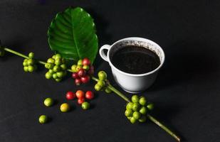 foto de una taza de café negro y granos de café originales frescos sobre un fondo negro. perfecto para los elementos de diseño de baristas, cafeterías e industria del café.