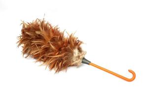 Feather duster for cleaning dust isolated on white background. photo