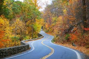 colorido y sinuoso camino de otoño foto