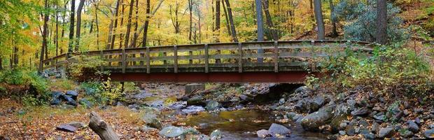 Autumn wood bridge panorama photo