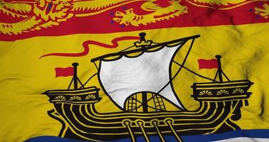 Full frame close-up on a waving flag of New Brunswick in 3D rendering video