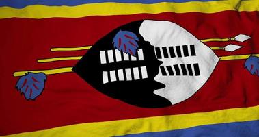 Full frame close-up on a waving flag of Swaziland in 3D rendering video