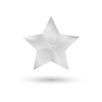 silver star icon vector. vector