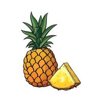 Pineapple hand drawn of illustration vector