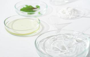 Glass petri dish and test tube with plant extract and green leaves . Research and develop cosmetic production in the laboratory. photo
