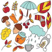 a set of autumn leaves and objects in the doodle style. vector illustration isolated on a white background.