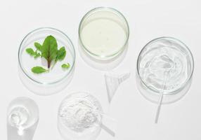 natural cosmetic research in a laboratory, petri dishes and lab glassware with medium, clay powder and green leaves. test for efficiency in vitro. photo