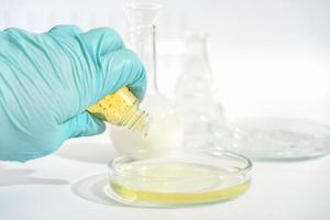 laboratory testing cosmetic product, cruelty free, not tested on animals beauty and skin care fluid. hand wearing medical glove doing test with petri dish and medium. photo