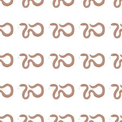 Snakes seamless pattern. Snakes elongated, legless, carnivorous reptiles. Wild West theme. Hand drawn colored trendy Vector illustration. Wildlife concept.