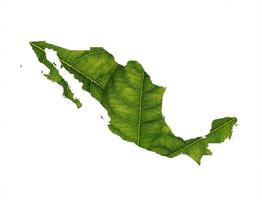 Mexico map made of green leaves on soil background ecology concept photo