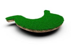 Stomach shape made of green grass and Rock ground texture cross section with 3d illustration photo