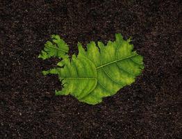 Iceland map made of green leaves on soil background ecology concept photo
