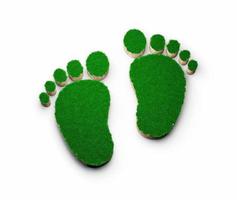 Footprint shape made of green grass and Rock ground texture cross section with 3d illustration photo