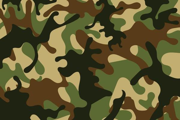 Camo Pattern Vector Art, Icons, and Graphics for Free Download