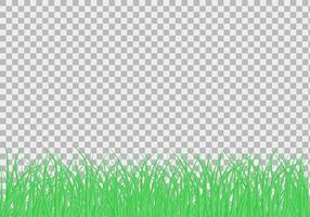 Green beautiful grass meadow border vector pattern. Spring or summer plant field lawn. Grass background. Vector illustration.