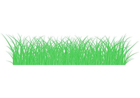 Green beautiful grass meadow border vector pattern. Spring or summer plant field lawn. Grass background. Vector illustration.