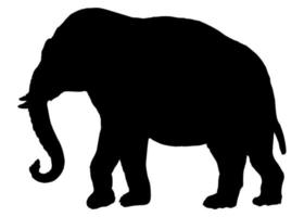 icono de vector de elefante sobre un fondo blanco.