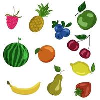 Set of colorful fruits and berries. vector