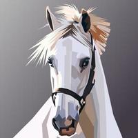 Colorful horse vector illustration