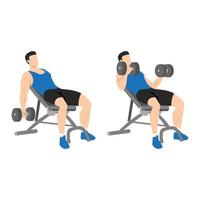 Man doing incline dumbbell curl. Flat vector illustration isolated on different layers. Workout character