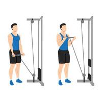 Man doing Straight bar low pulley cable curl. Flat vector illustration isolated on different layers. Workout character