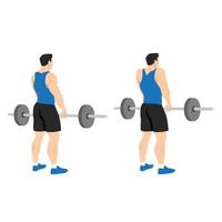 Man doing Barbell shrugs back view exercise. Flat vector illustration isolated on white background