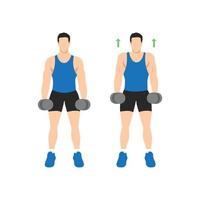 Man doing Dumbbell shrugs front view exercise. Flat vector illustration isolated on white background