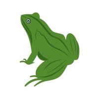 Frog Flat Multicolor Icon vector