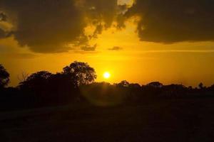 el sol sale y se pone por la mañana y por la noche y los árboles están sombreados de negro, cielo anaranjado y nubes. cálido, romántico y gloriosamente hermoso, se ve cálido y viajero. foto