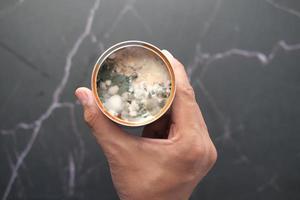 mildew in a canned food Spoiled products photo