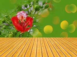 The empty wooden desk with Red Caesalpinia sappan flower. Wooden tables planks shelf. photo