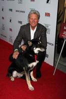 LOS ANGELES, APR 17 - Bruce Boxleitner arrives at the Darling Companion Premiere at Egyptian Theater on April 17, 2012 in Los Angeles, CA photo