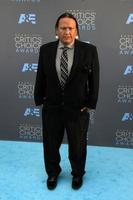 LOS ANGELES, JAN 17 - Arthur Redcloud at the 21st Annual Critics Choice Awards at the Barker Hanger on January 17, 2016 in Santa Monica, CA photo