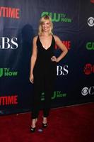 LOS ANGELES, JUL 17 - Beth Behrs at the CBS TCA July 2014 Party at the Pacific Design Center on July 17, 2014 in West Hollywood, CA photo