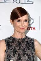 LOS ANGELES, OCT 18 - Darby Stanchfield at the 2014 Environmental Media Awards at Warner Brothers Studios on October 18, 2014 in Burbank, CA photo