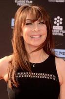 LOS ANGELES - APR 6  Illeana Douglas at the 2017 TCM Classic Film Festival Opening Night Red Carpet at the TCL Chinese Theater IMAX on April 6, 2017 in Los Angeles, CA photo