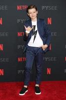 LOS ANGELES   MAY 6 - Maxwell Jenkins at the Netflix FYSEE Kick Off Event at Raleigh Studios on May 6, 2018 in Los Angeles, CA photo