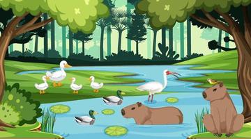 Various animals in the forest vector