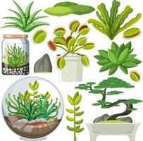 Various plants seamless pattern vector