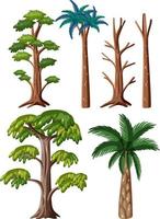 Set of different prehistoric trees vector