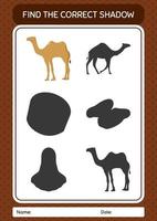 Find the correct shadows game with camel. worksheet for preschool kids, kids activity sheet vector