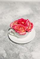 Beautiful fresh roses of pink color with drops of dew in a white scab on a gray concrete background photo