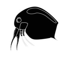 Plankton or water flea shameless vector icon. Cartoon vector icon isolated on white background.