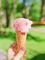 orange ice cream on spring or summer flowers landscape background. Food, travel, lifestyle concept photo